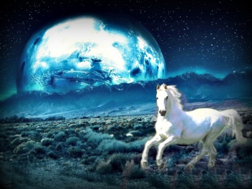 Moonlite Horse Photo Manipulation