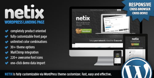 Netix - WordPress Landing Page