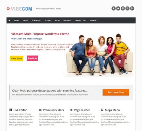 VibeCom Responsive WordPress Theme