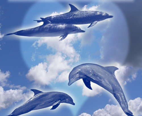 10 Photoshop Dolphins Brushes