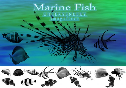 Marine Fish Brush Set