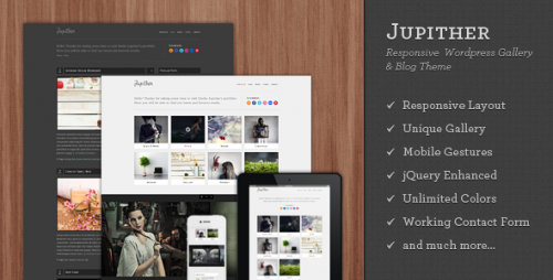Jupither - Responsive WordPress Gallery & Blog Theme