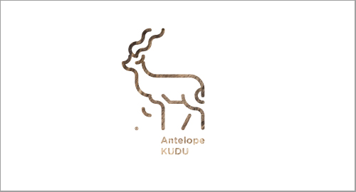 30 Days With Animals - Antelope KUDU
