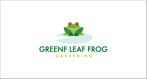 Green Leaf Frog