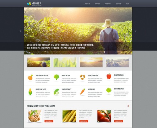 Agriculture Business WordPress Theme